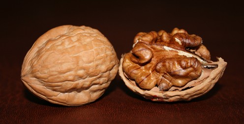 Two_Walnuts sm